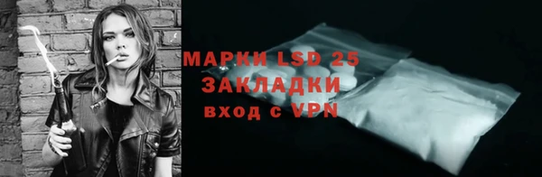 стафф Аркадак