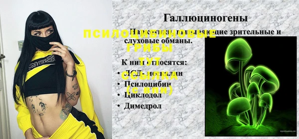 стафф Аркадак